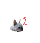 フレブルのマイル7（個別スタンプ：6）