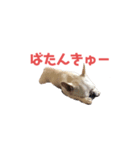 フレブルのマイル7（個別スタンプ：28）