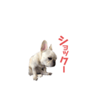 フレブルのマイル7（個別スタンプ：30）