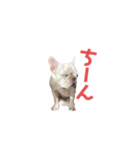 フレブルのマイル7（個別スタンプ：32）
