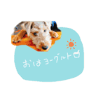ナッツくん3（個別スタンプ：1）