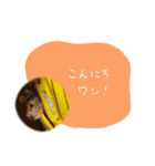 ナッツくん3（個別スタンプ：2）