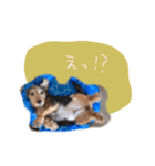 ナッツくん3（個別スタンプ：7）
