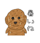 とある家の犬 ver2（個別スタンプ：13）