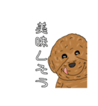 とある家の犬 ver2（個別スタンプ：23）