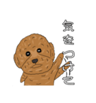 とある家の犬 ver2（個別スタンプ：29）