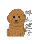 とある家の犬 ver2（個別スタンプ：31）