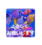 つぶやく海水魚スクエア編（個別スタンプ：2）