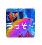 つぶやく海水魚スクエア編（個別スタンプ：10）