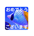 つぶやく海水魚スクエア編（個別スタンプ：21）