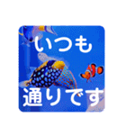 つぶやく海水魚スクエア編（個別スタンプ：34）