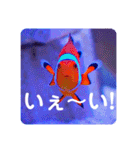 つぶやく海水魚スクエア編（個別スタンプ：38）