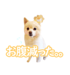 たらスタンプ1（個別スタンプ：2）