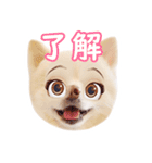 たらスタンプ1（個別スタンプ：4）