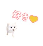 たらスタンプ1（個別スタンプ：11）