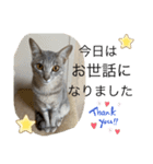 こんにゃく①（個別スタンプ：4）