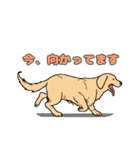 犬達の使えるスタンプ（個別スタンプ：8）