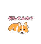 犬達の使えるスタンプ（個別スタンプ：13）