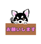 犬達の使えるスタンプ（個別スタンプ：16）