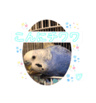 ぴーちゃんのダジャレスタンプ（個別スタンプ：4）