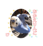 ぴーちゃんのダジャレスタンプ（個別スタンプ：5）