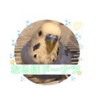 ぴーちゃんのダジャレスタンプ（個別スタンプ：12）