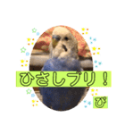 ぴーちゃんのダジャレスタンプ（個別スタンプ：14）