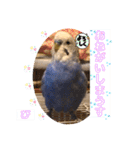 ぴーちゃんのダジャレスタンプ（個別スタンプ：16）