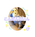 ぴーちゃんのダジャレスタンプ（個別スタンプ：20）
