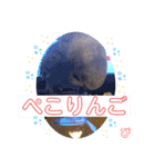 ぴーちゃんのダジャレスタンプ（個別スタンプ：22）