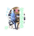 ぴーちゃんのダジャレスタンプ（個別スタンプ：28）