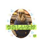 ぴーちゃんのダジャレスタンプ（個別スタンプ：34）