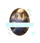 ぴーちゃんのダジャレスタンプ（個別スタンプ：37）