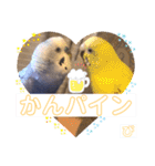 ぴーちゃんのダジャレスタンプ（個別スタンプ：39）