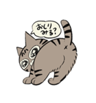 meow meow モナちゃん（個別スタンプ：1）