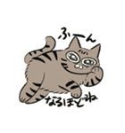 meow meow モナちゃん（個別スタンプ：3）