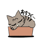 meow meow モナちゃん（個別スタンプ：12）