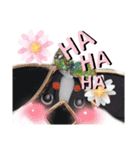 日常会話 可愛い バーニーズ 超大型犬（個別スタンプ：24）