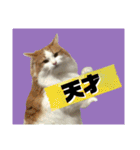 ノルウェージャン猫のアルフとラッキー（個別スタンプ：15）
