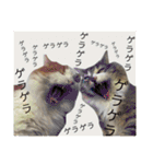 ノルウェージャン猫のアルフとラッキー（個別スタンプ：23）