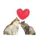 ノルウェージャン猫のアルフとラッキー（個別スタンプ：24）