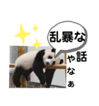 たけしのスタンプ その28（個別スタンプ：3）