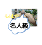 たけしのスタンプ その28（個別スタンプ：5）