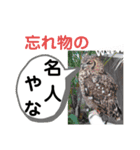 たけしのスタンプ その28（個別スタンプ：6）