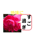 たけしのスタンプ その28（個別スタンプ：7）