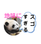 たけしのスタンプ その28（個別スタンプ：8）