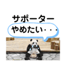 たけしのスタンプ その28（個別スタンプ：10）