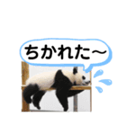 たけしのスタンプ その28（個別スタンプ：11）