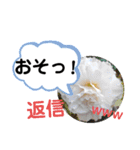 たけしのスタンプ その28（個別スタンプ：15）