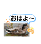 たけしのスタンプ その28（個別スタンプ：19）